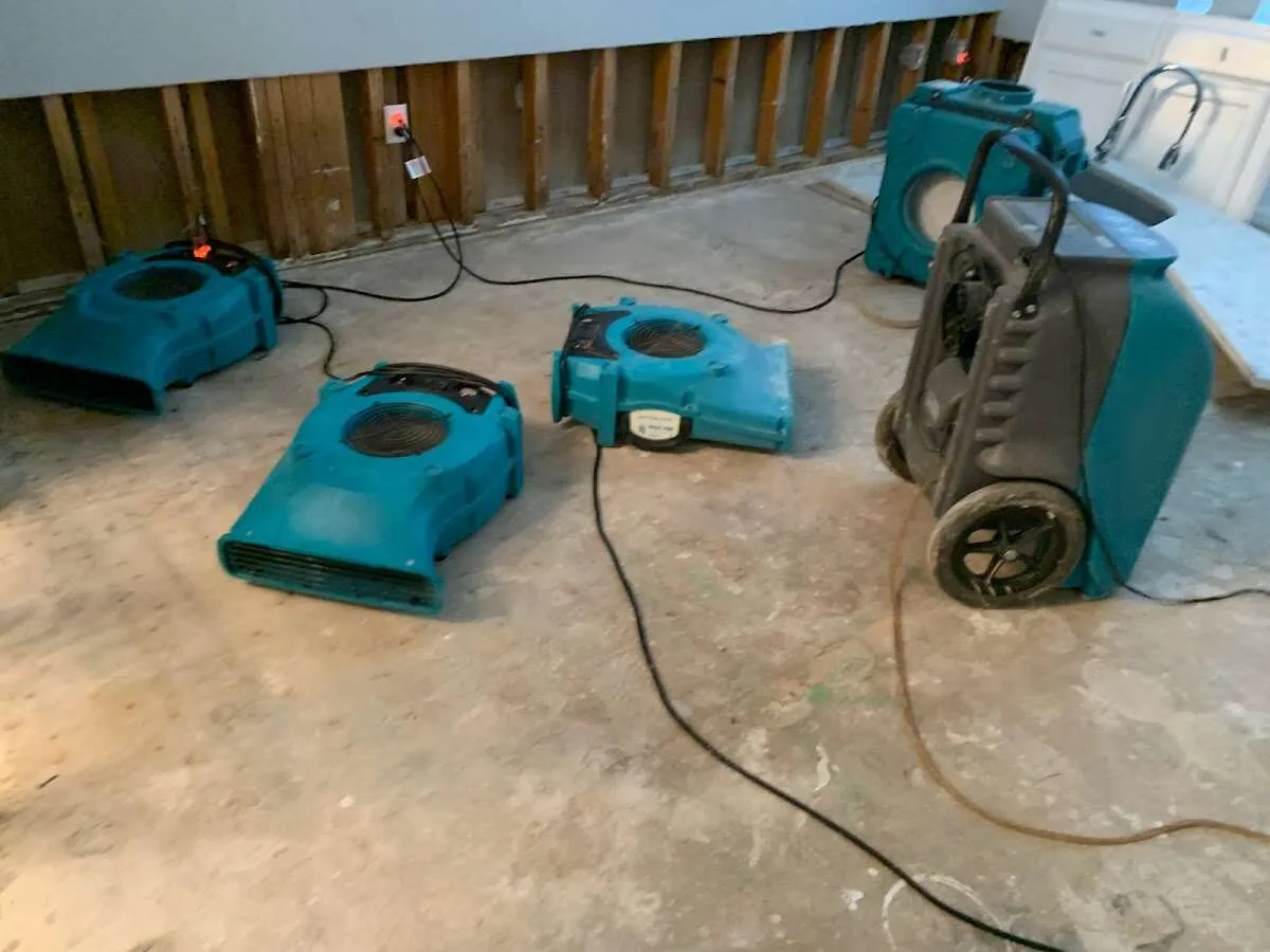 Flood Damage Cleanup in San Juan Capistrano, CA